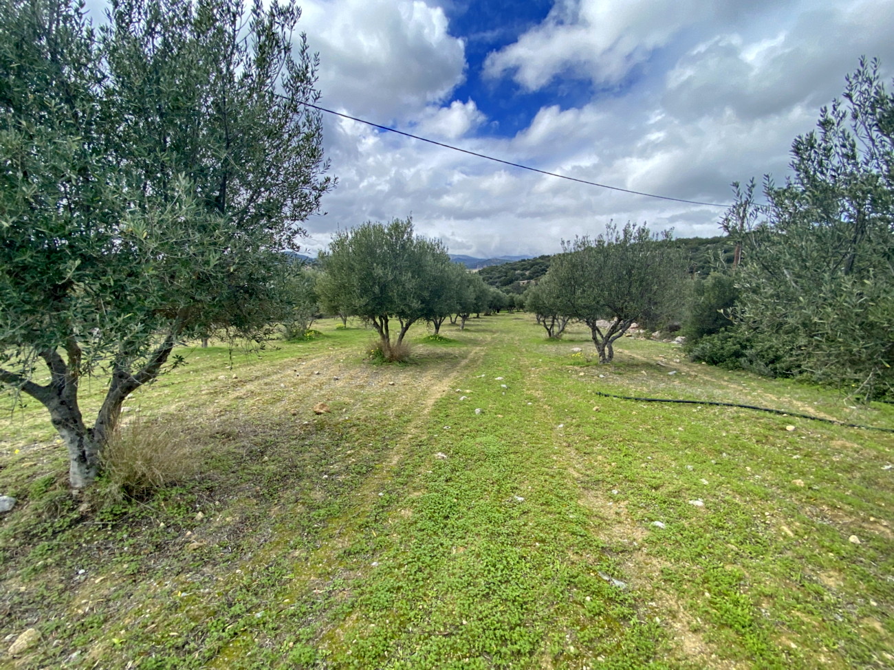  Plot For Sale