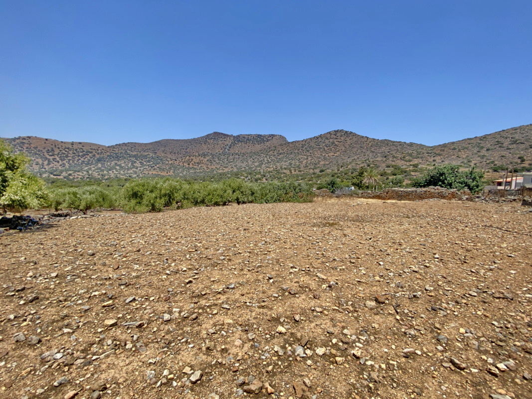  Plot For Sale