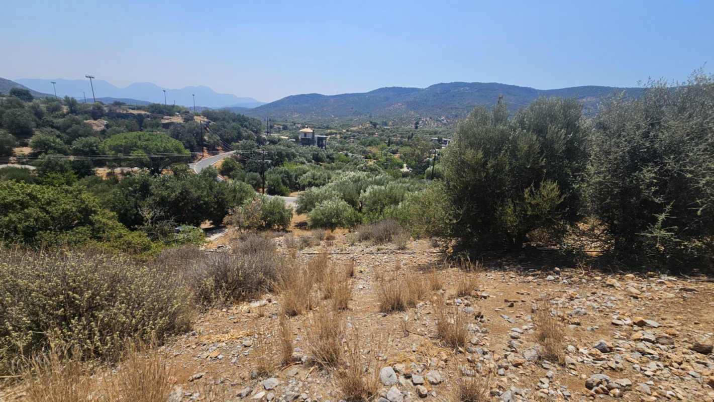  Plot For Sale