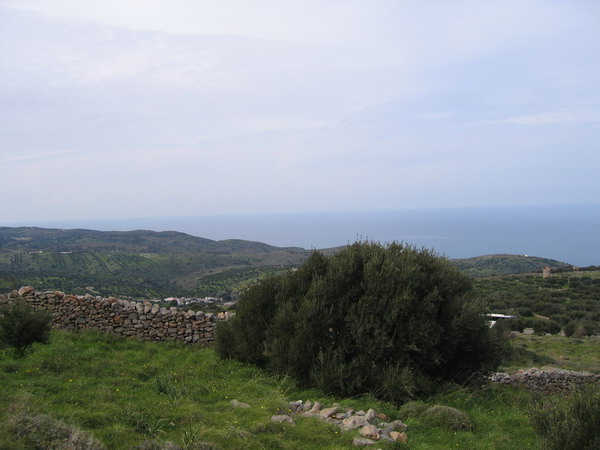  Plot For Sale