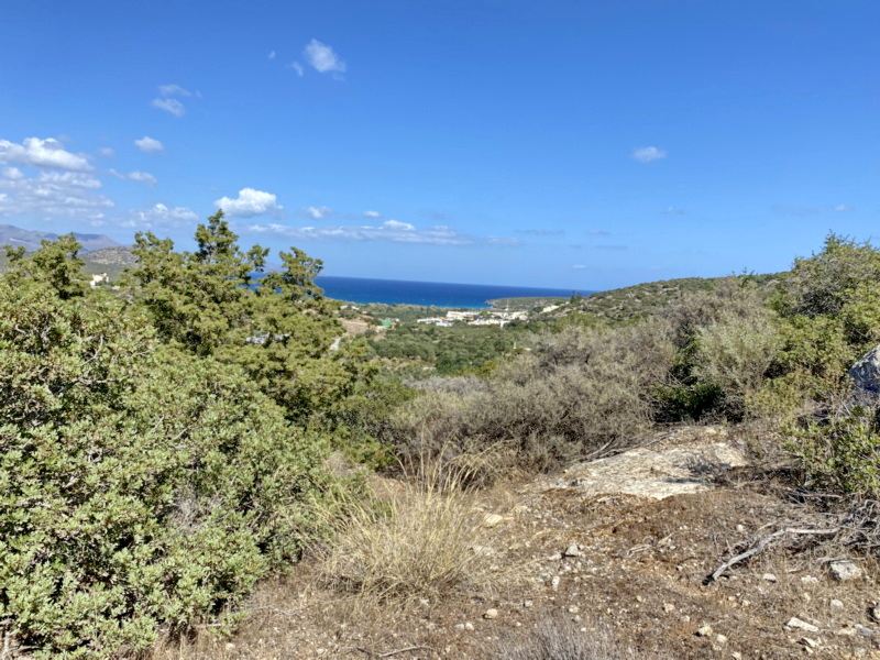  Plot For Sale
