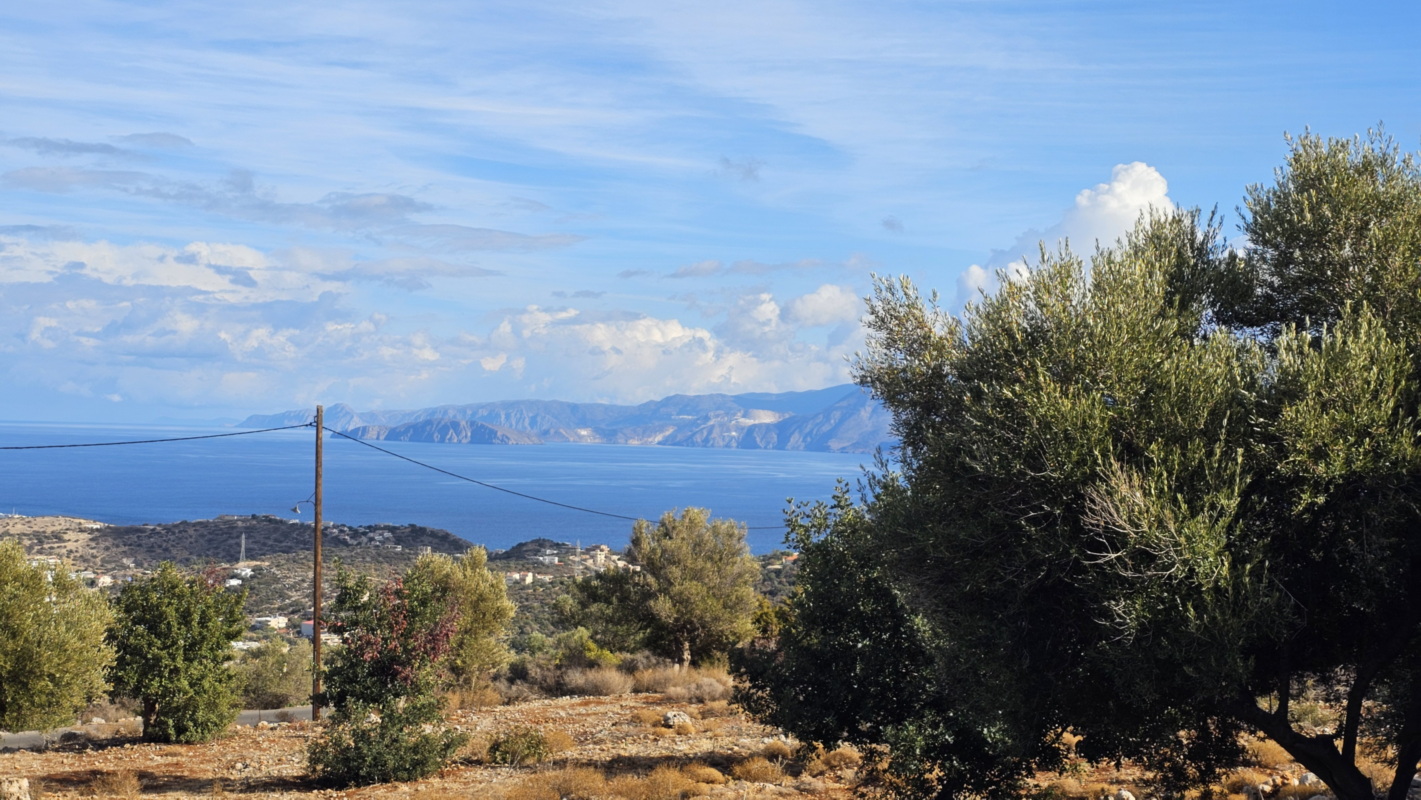  Plot For Sale