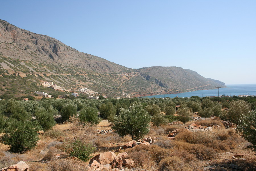  Plot For Sale