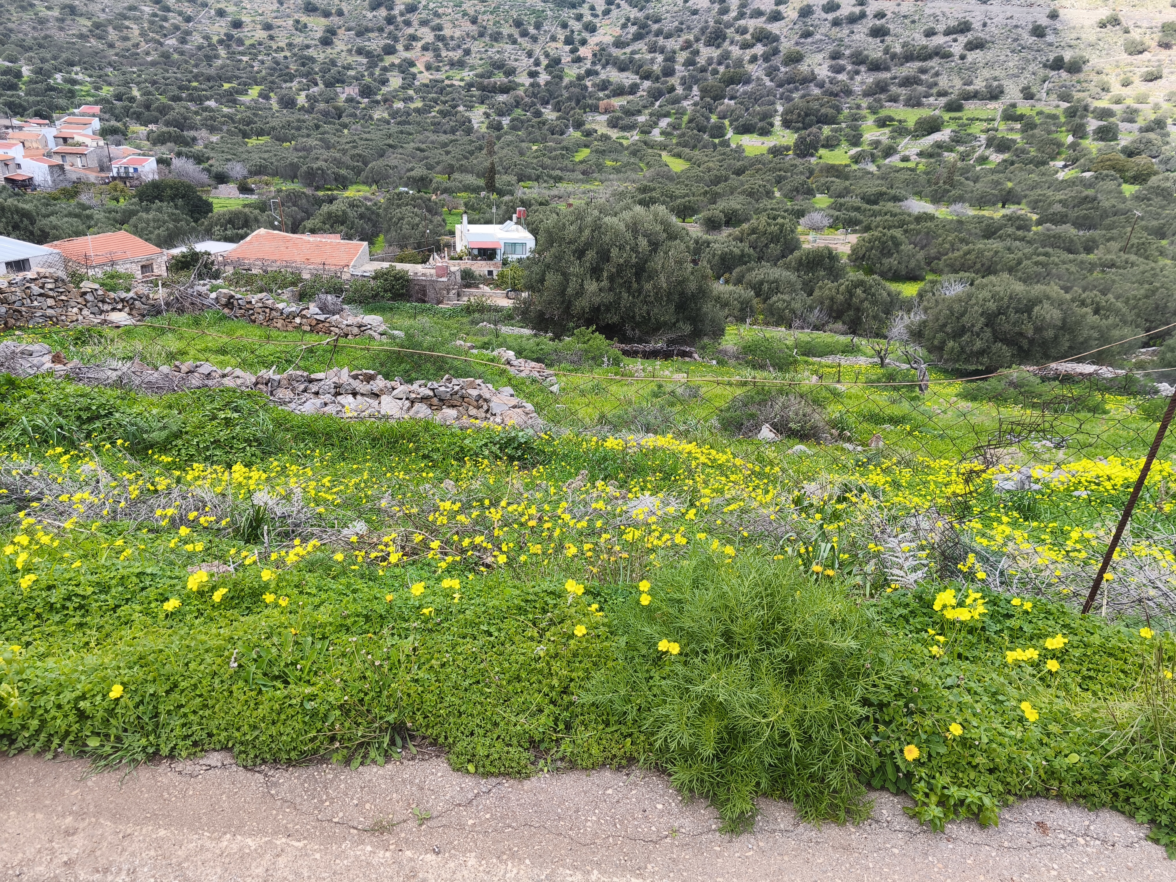  Plot For Sale