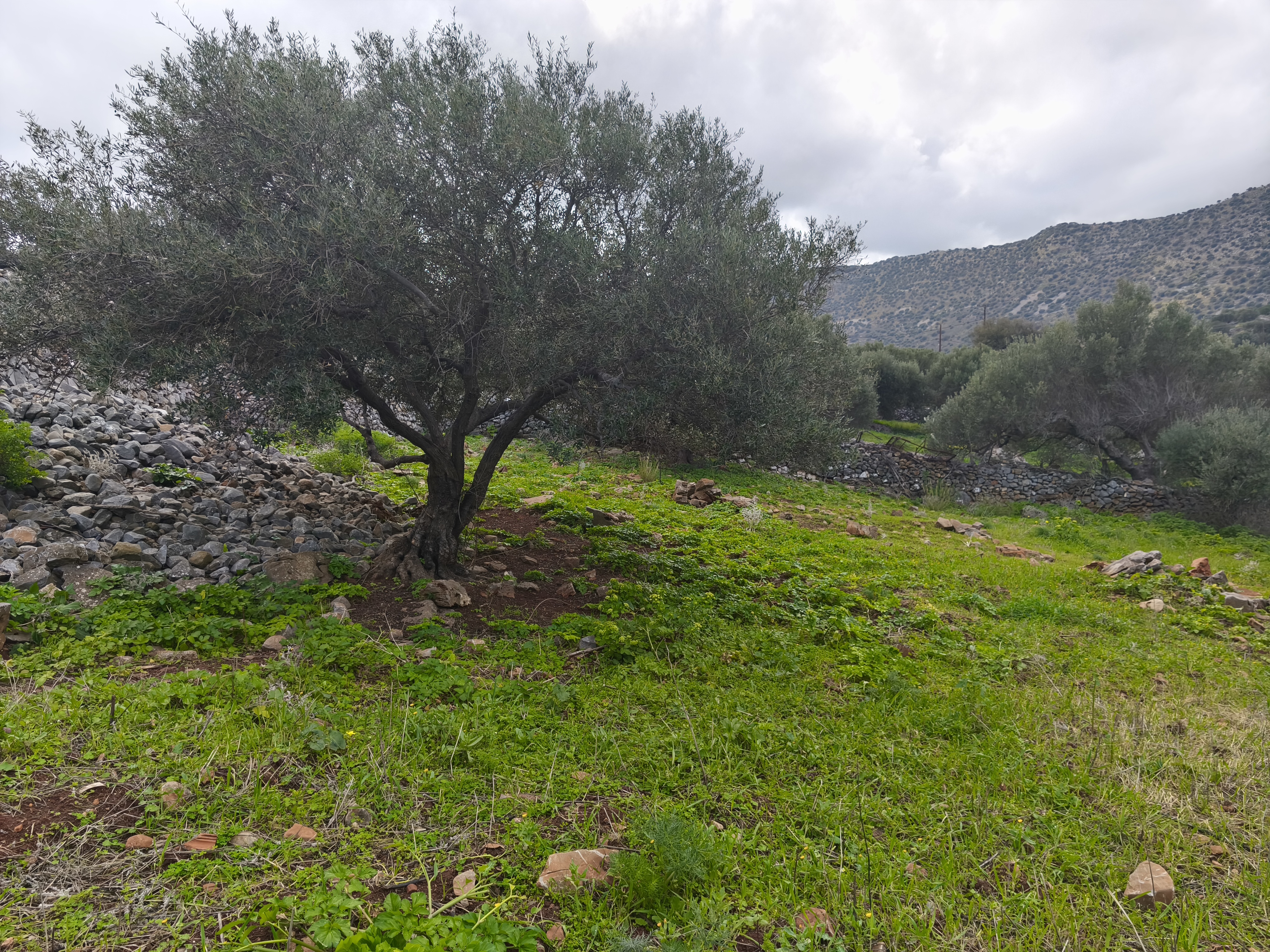  Plot For Sale