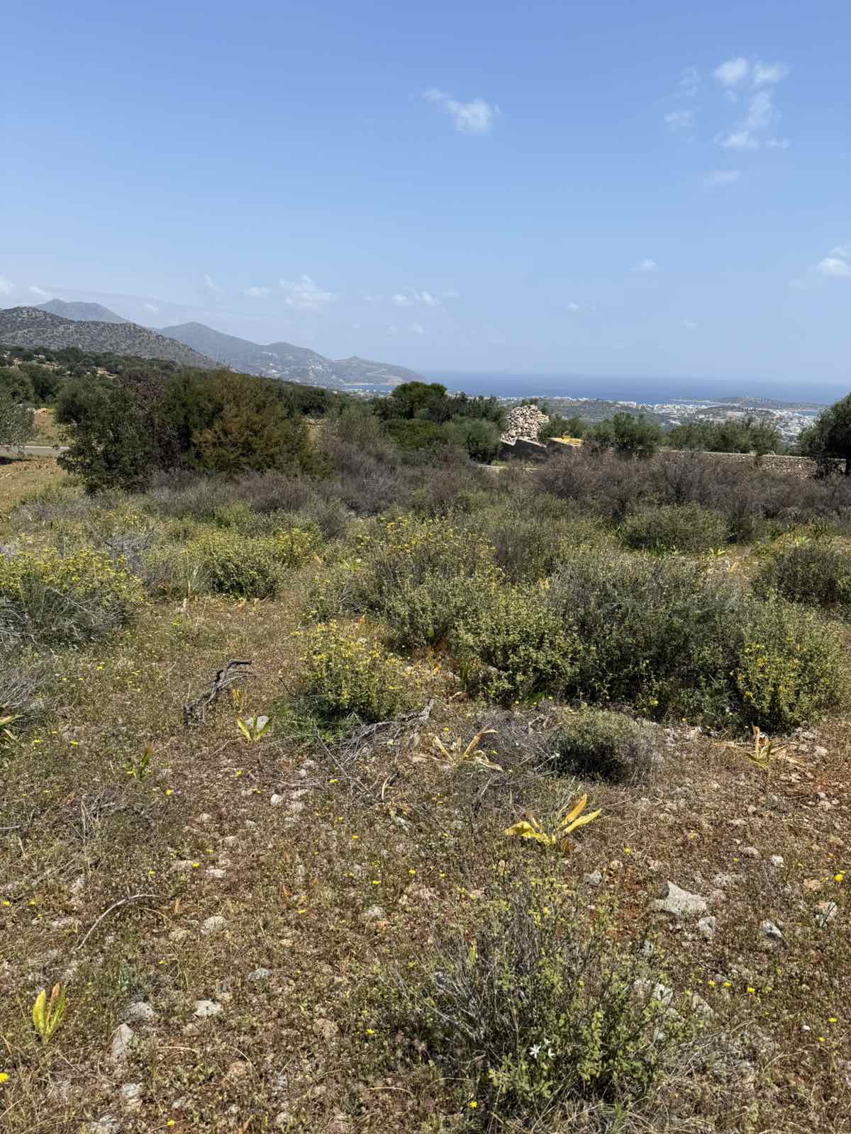  Plot For Sale