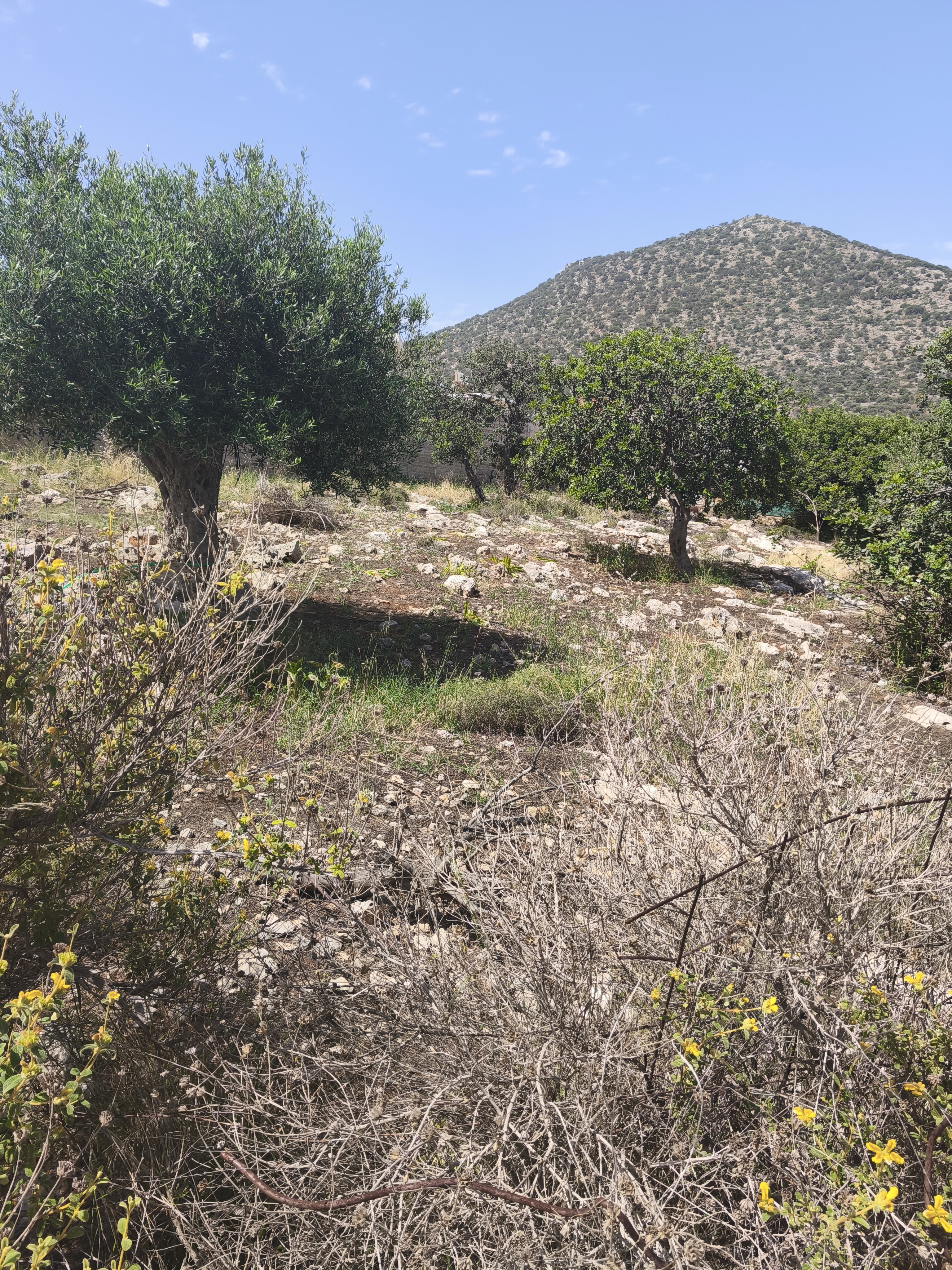  Plot For Sale