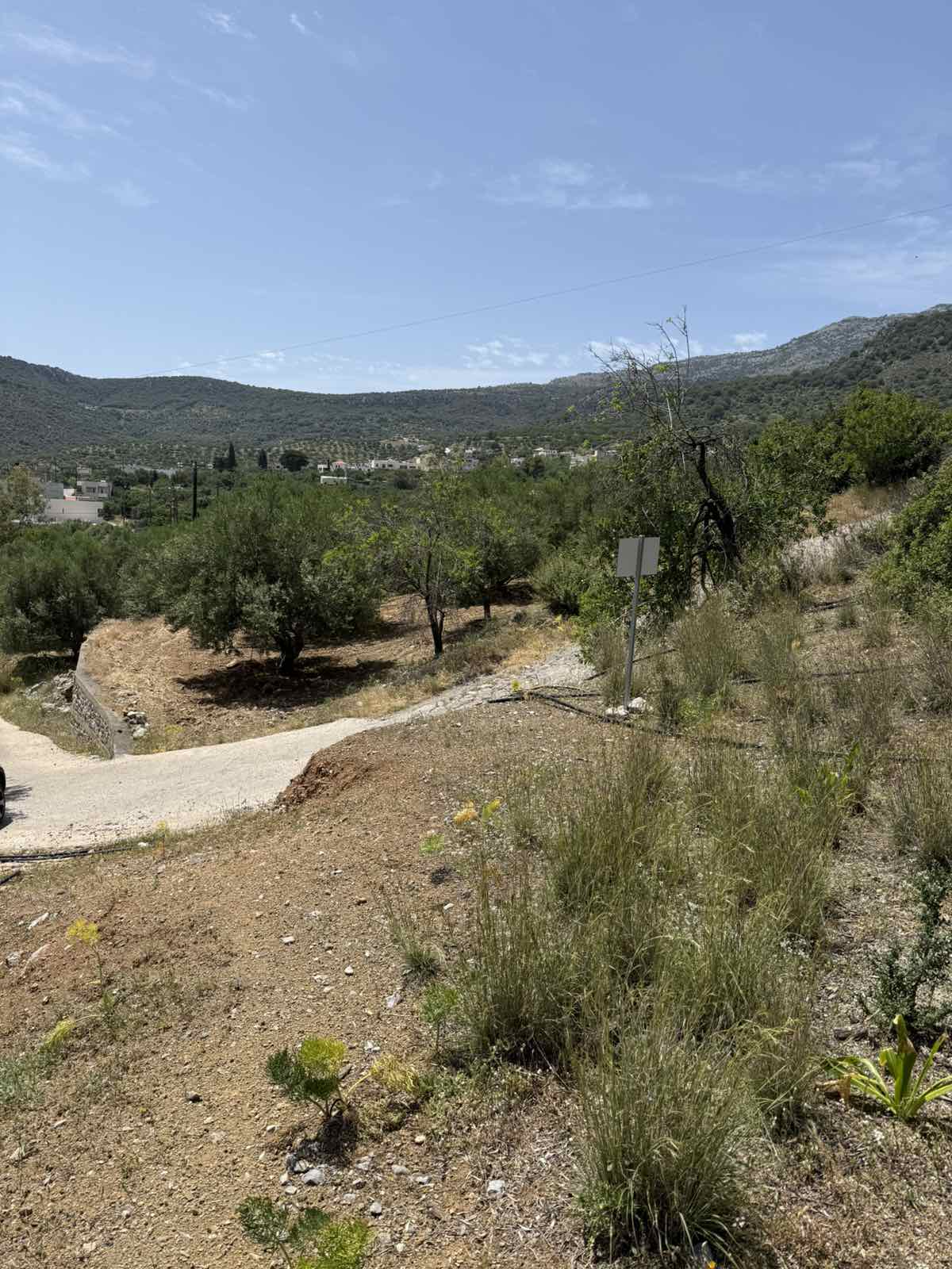  Plot For Sale