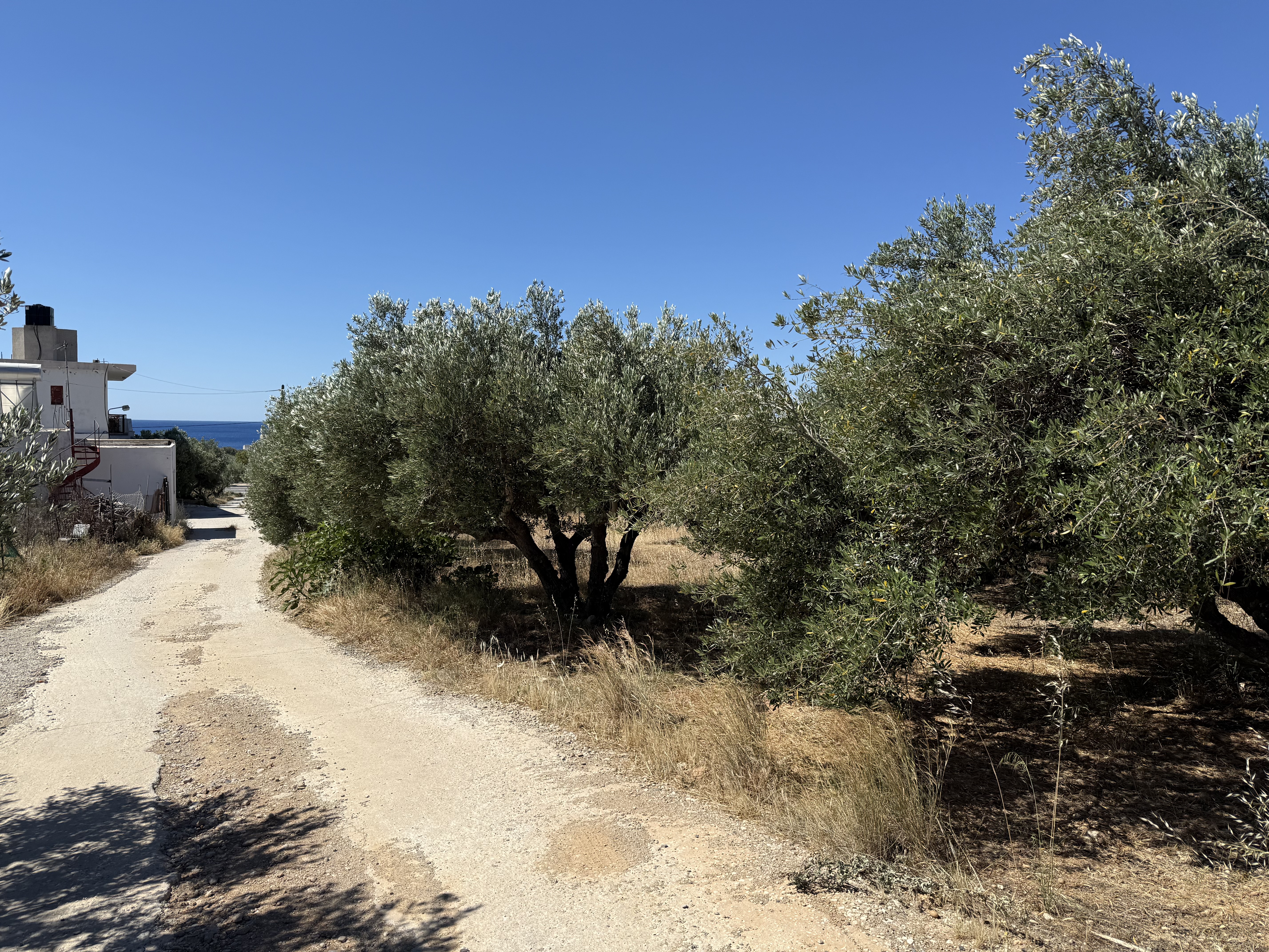  Plot For Sale