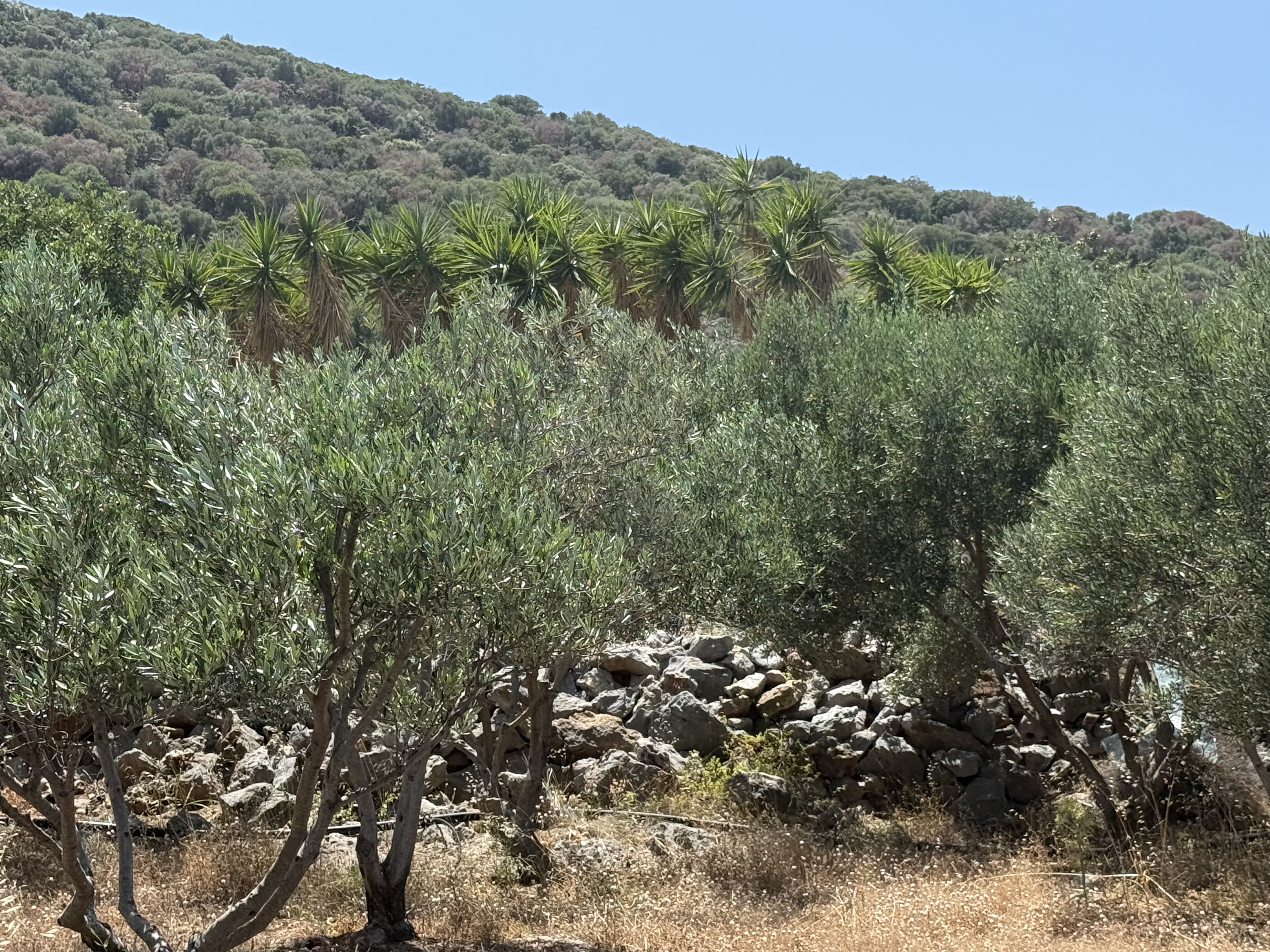  Land (Residential) For Sale