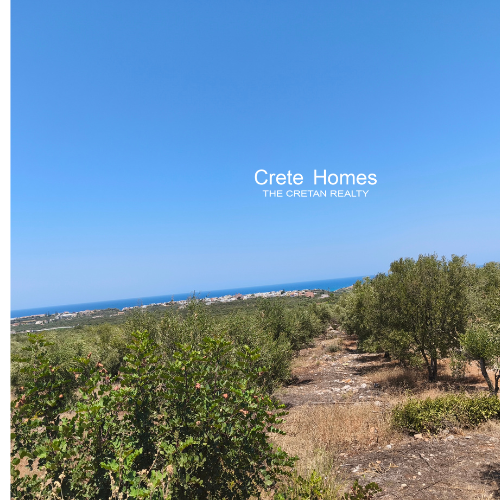  Plot For Sale