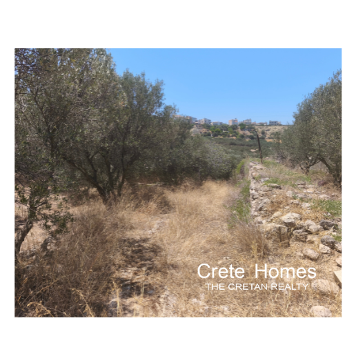  Plot For Sale