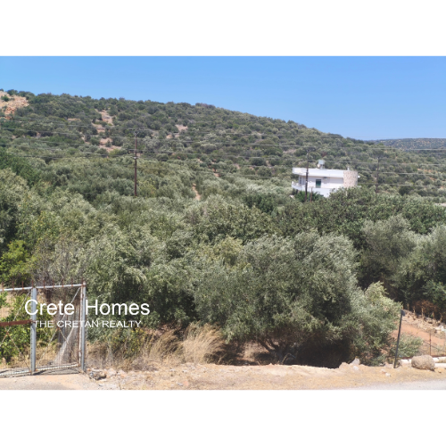  Plot For Sale