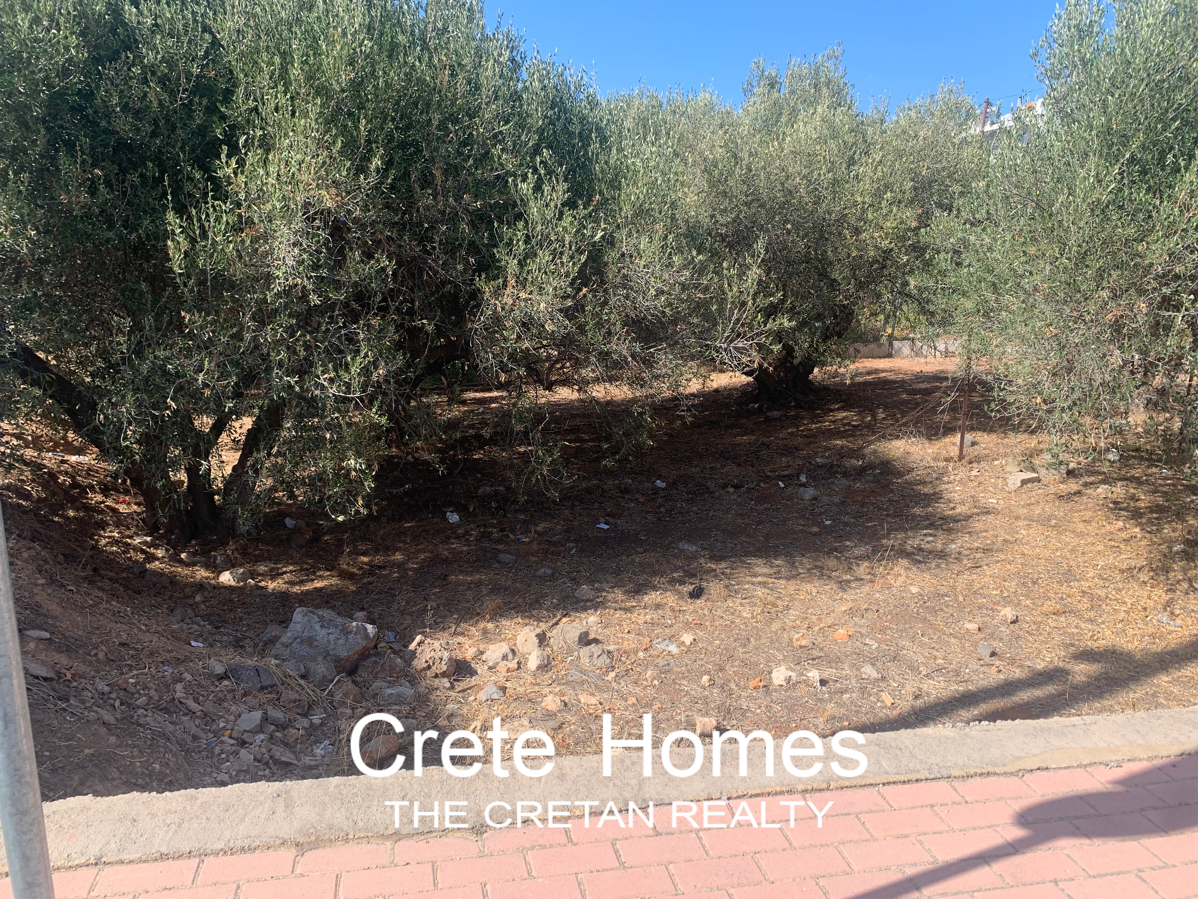  Plot For Sale