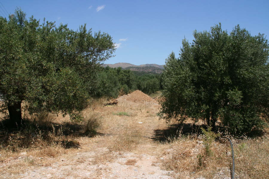  Plot For Sale