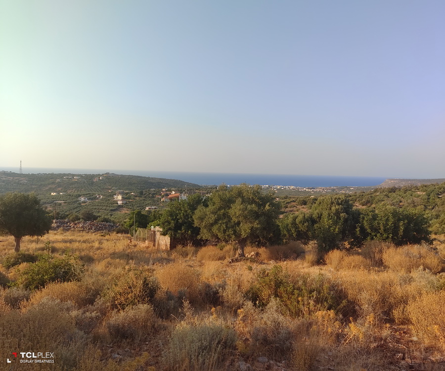  Plot For Sale