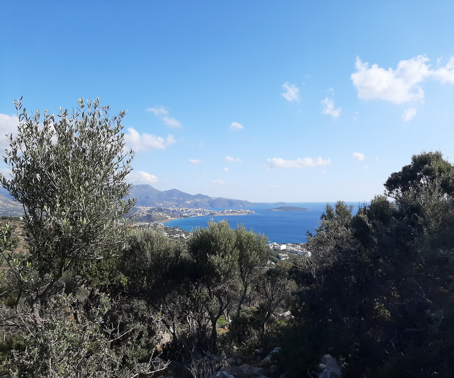  Plot For Sale