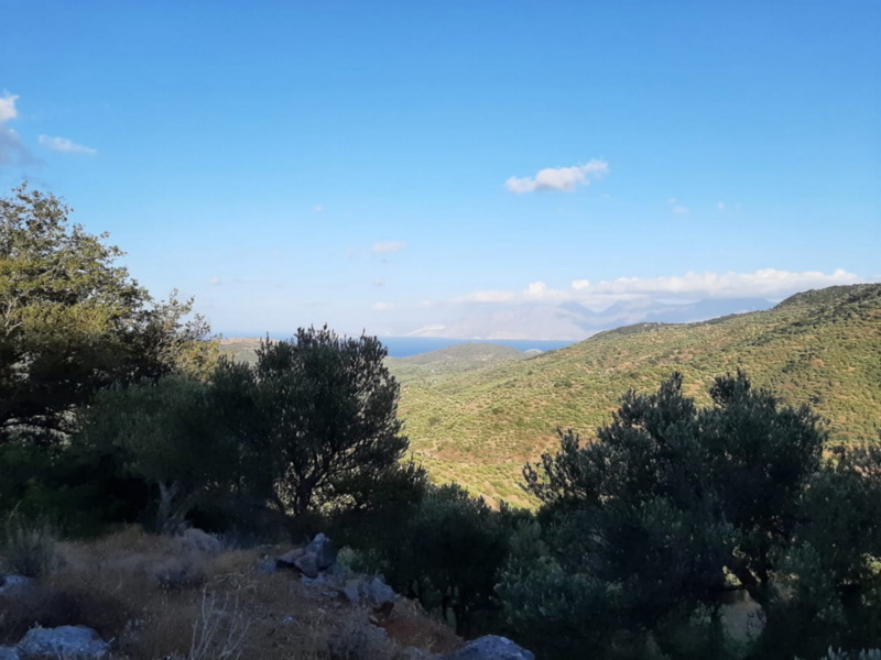  Villa For Sale