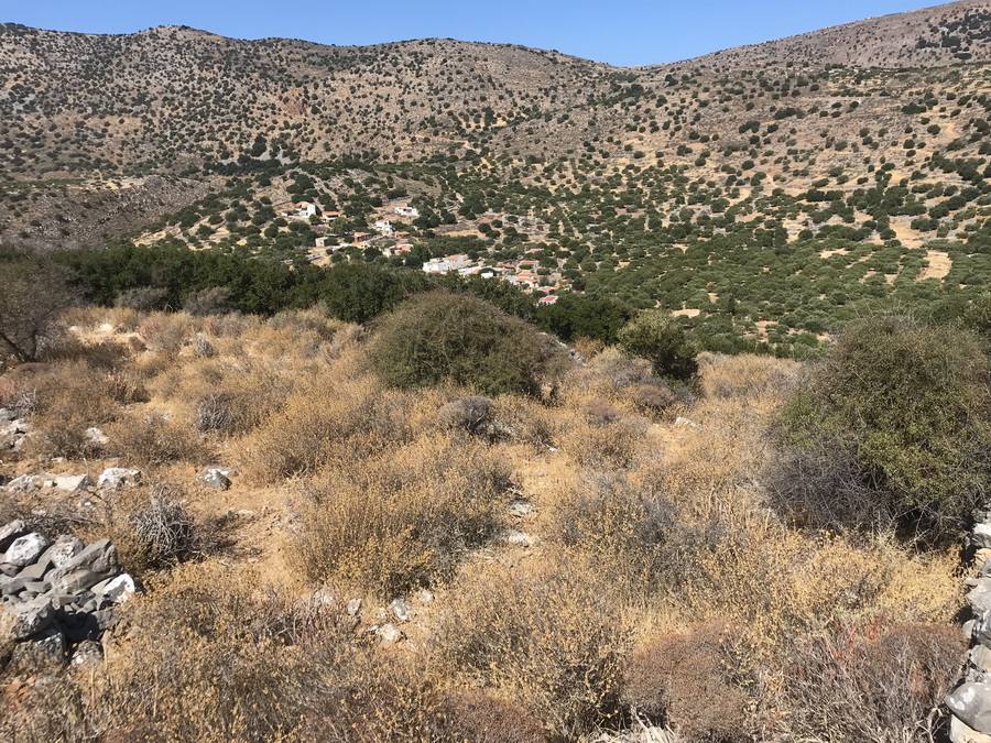  Plot For Sale