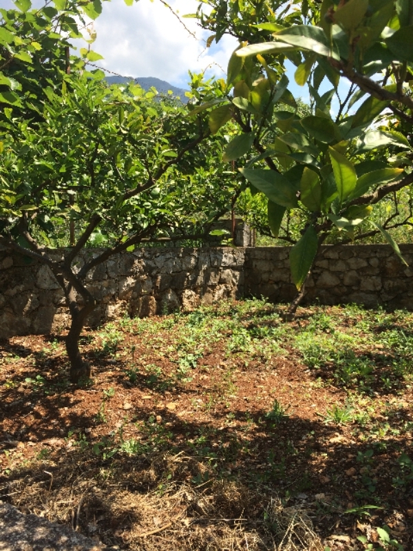  Plot For Sale