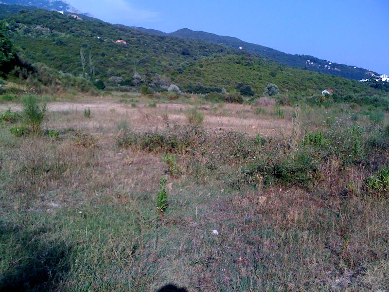  Plot For Sale