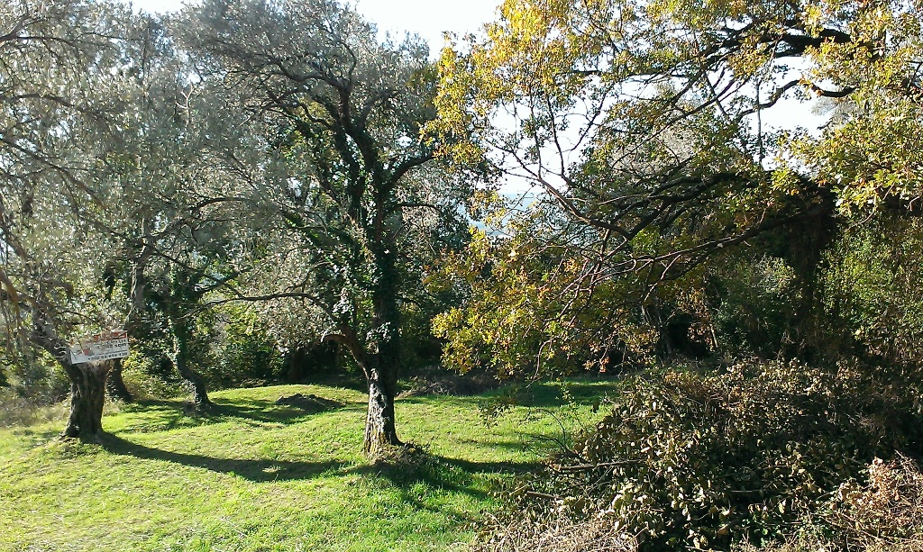  Plot For Sale