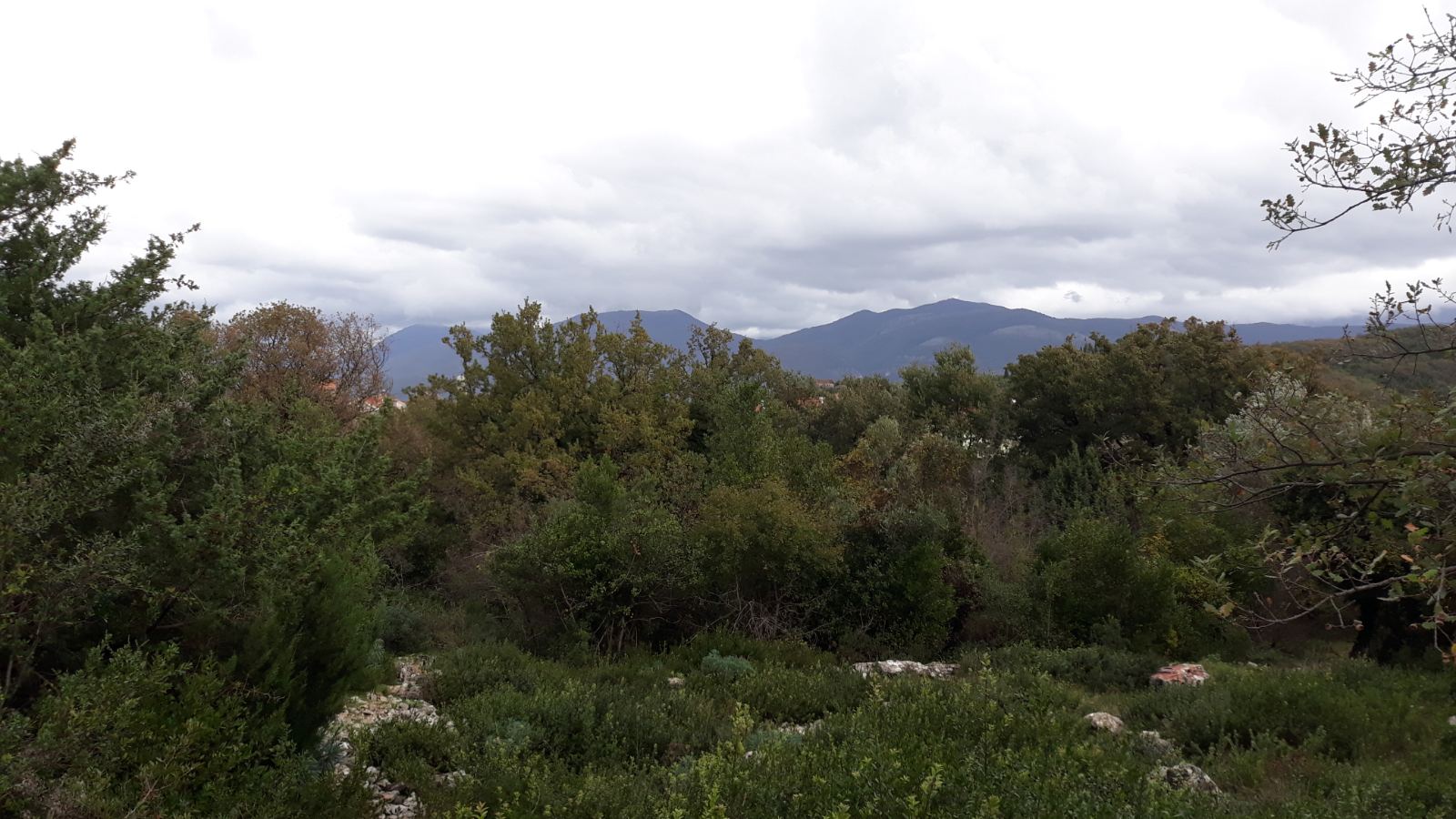  Plot For Sale