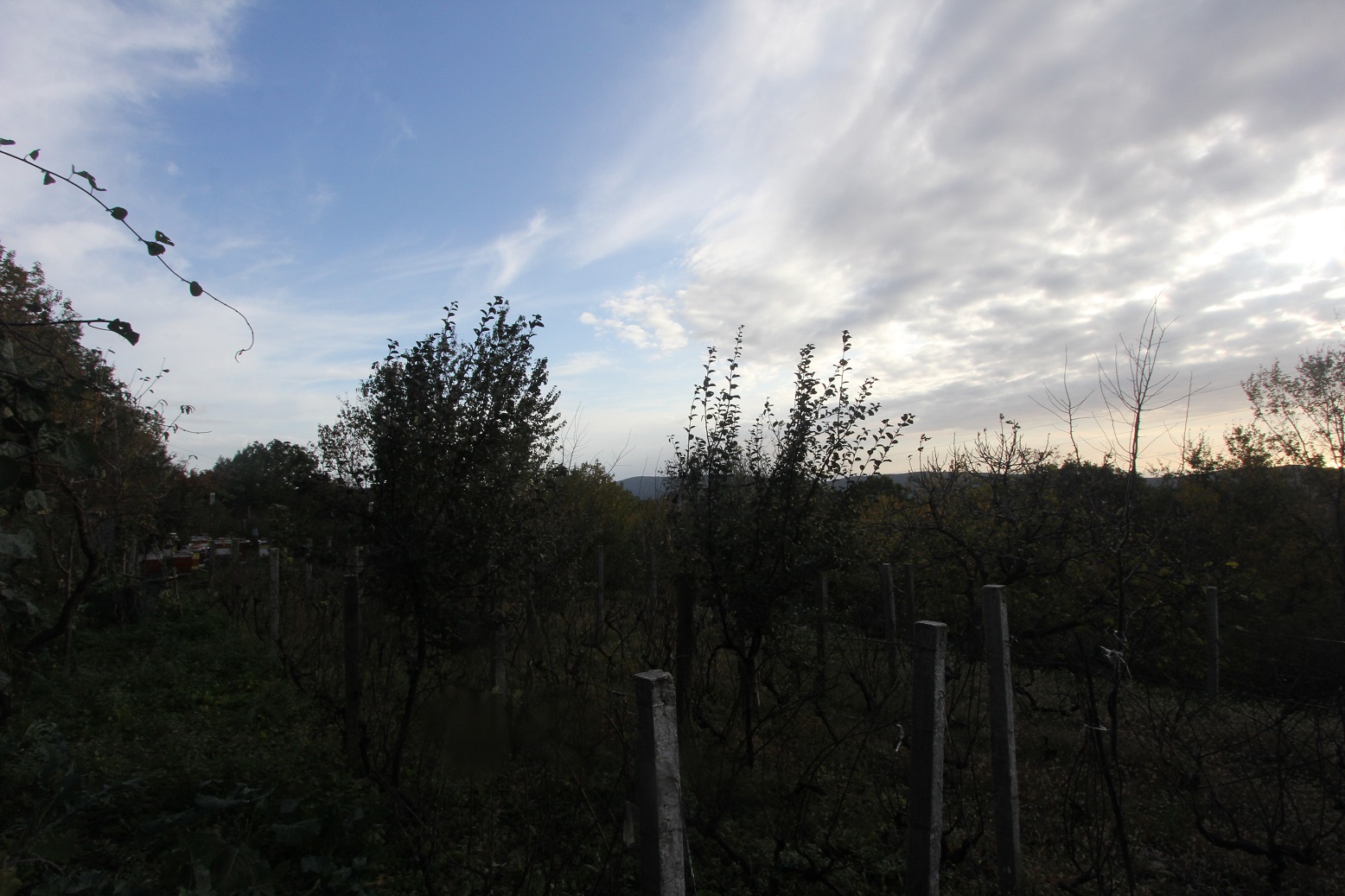  Plot For Sale