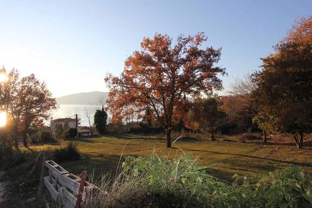  Plot For Sale