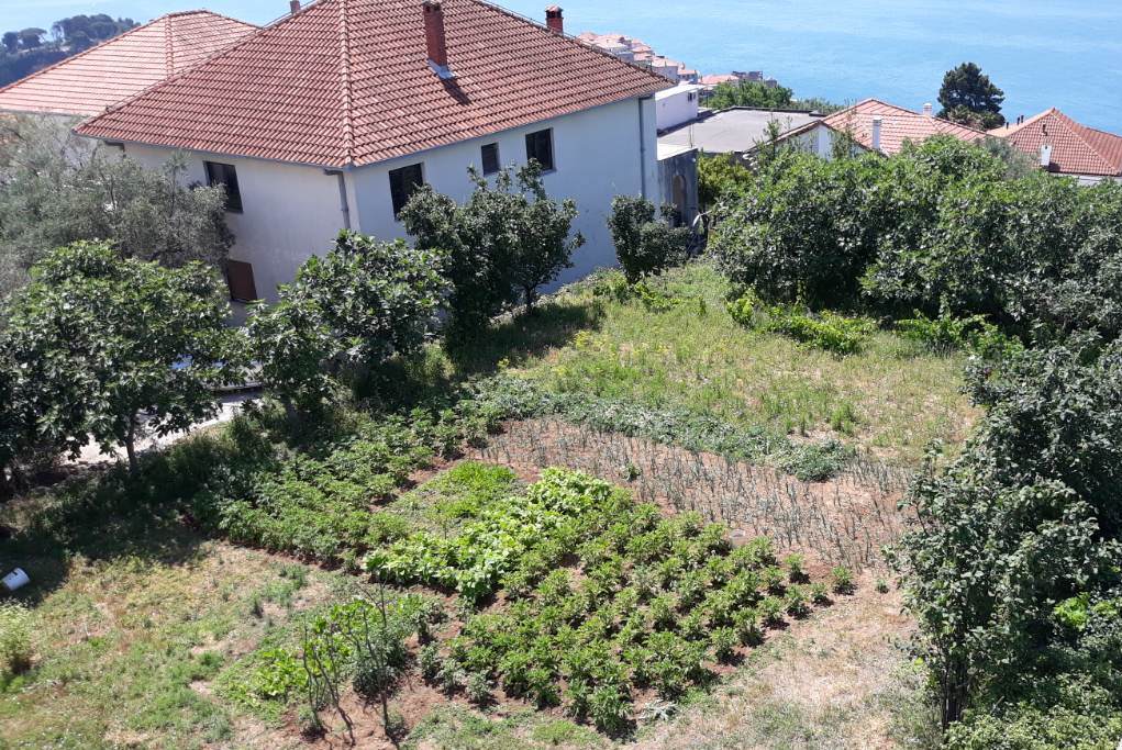  Plot For Sale