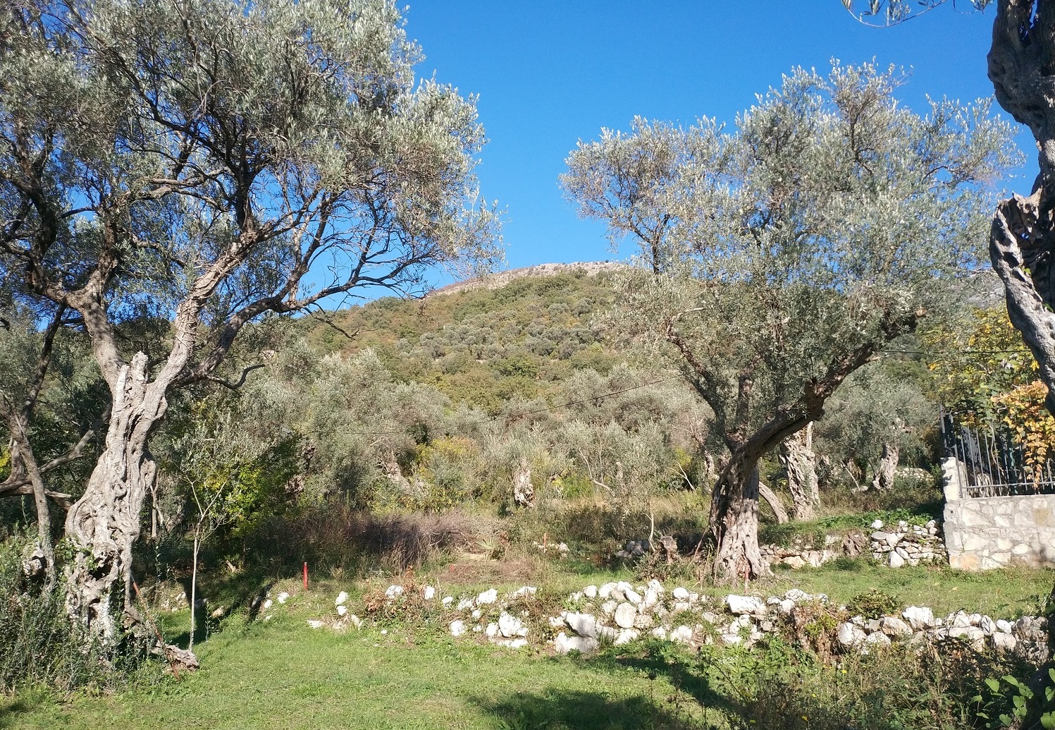  Plot For Sale