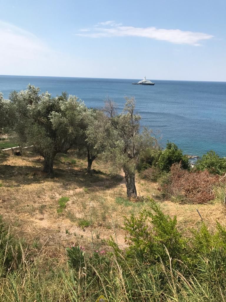  Plot For Sale