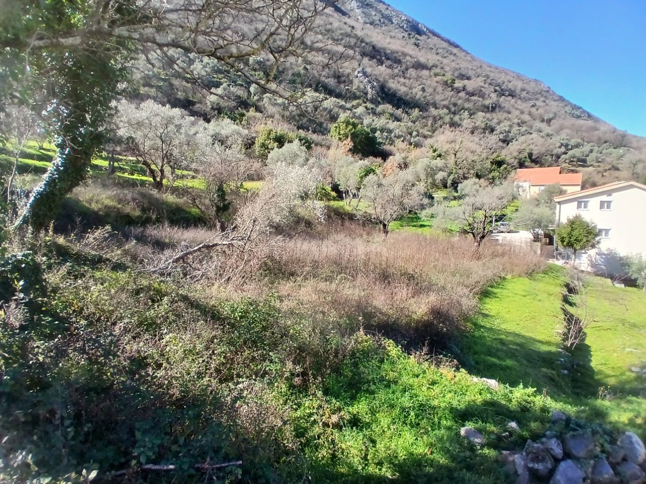  Plot For Sale