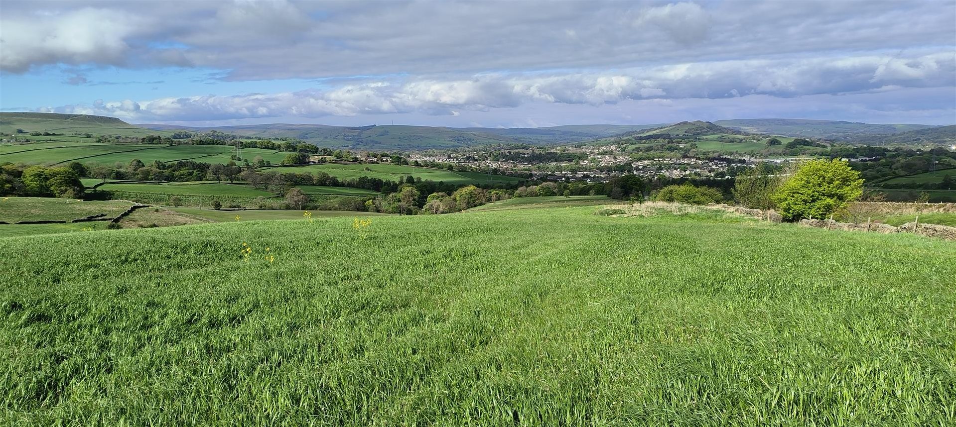  House (unspecified) Under Offer