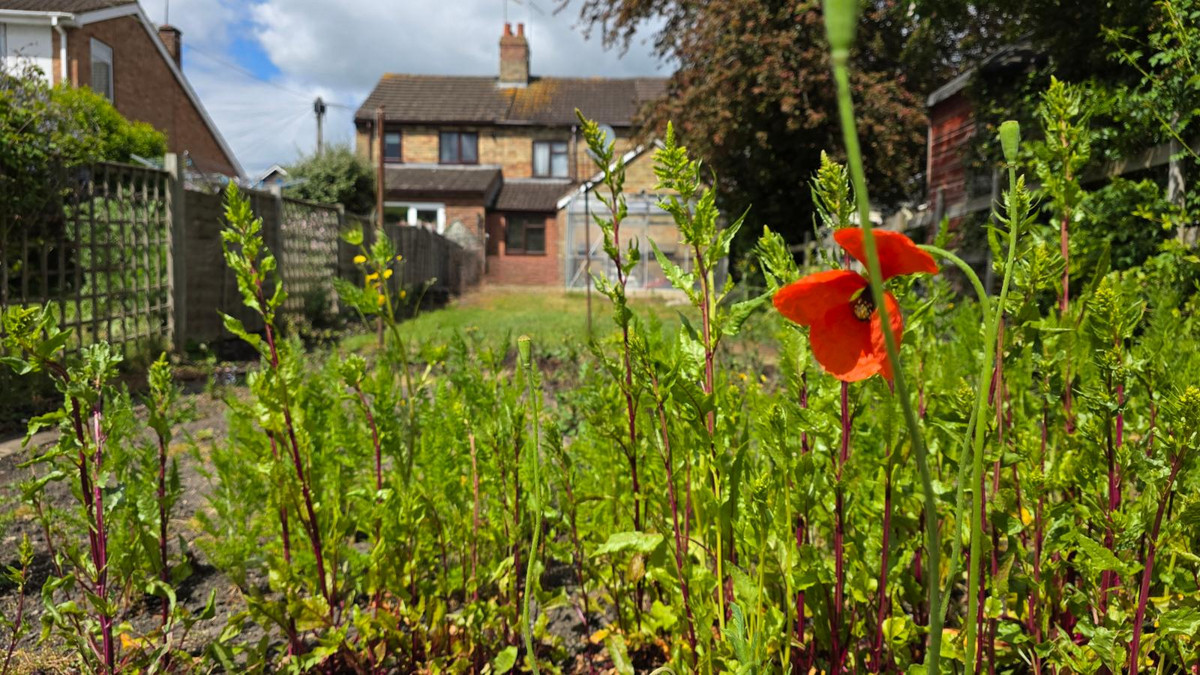 2 bedroom House (unspecified) For Sale