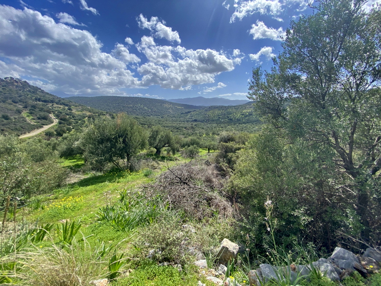  Plot For Sale