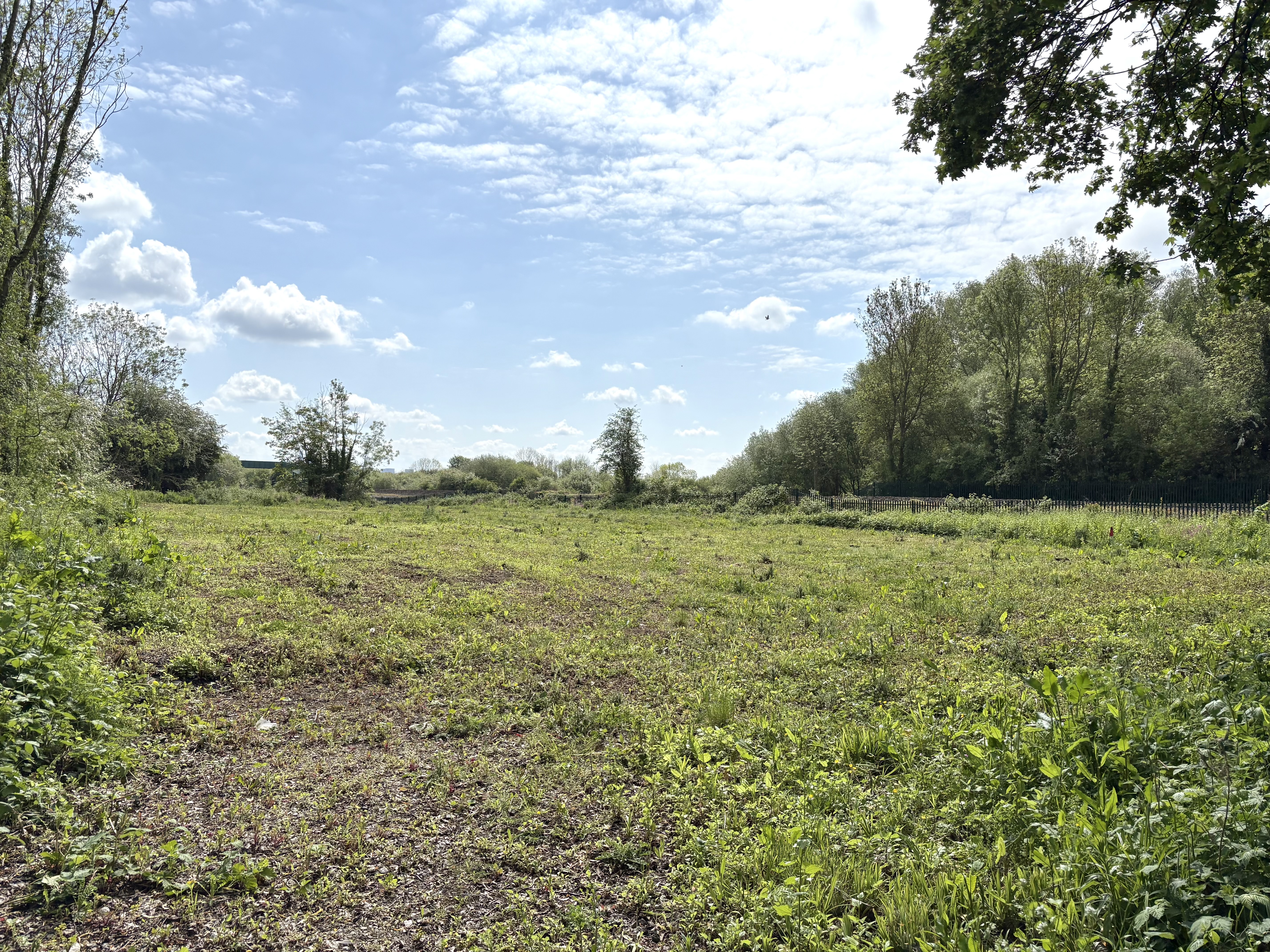 Land (Commercial) For Sale