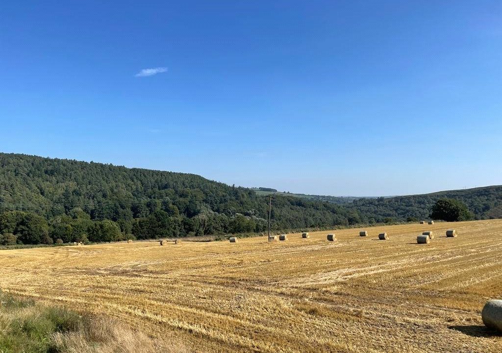 Land (Commercial) For Sale