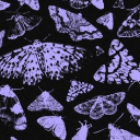 metaxenia@electricrequiem.com