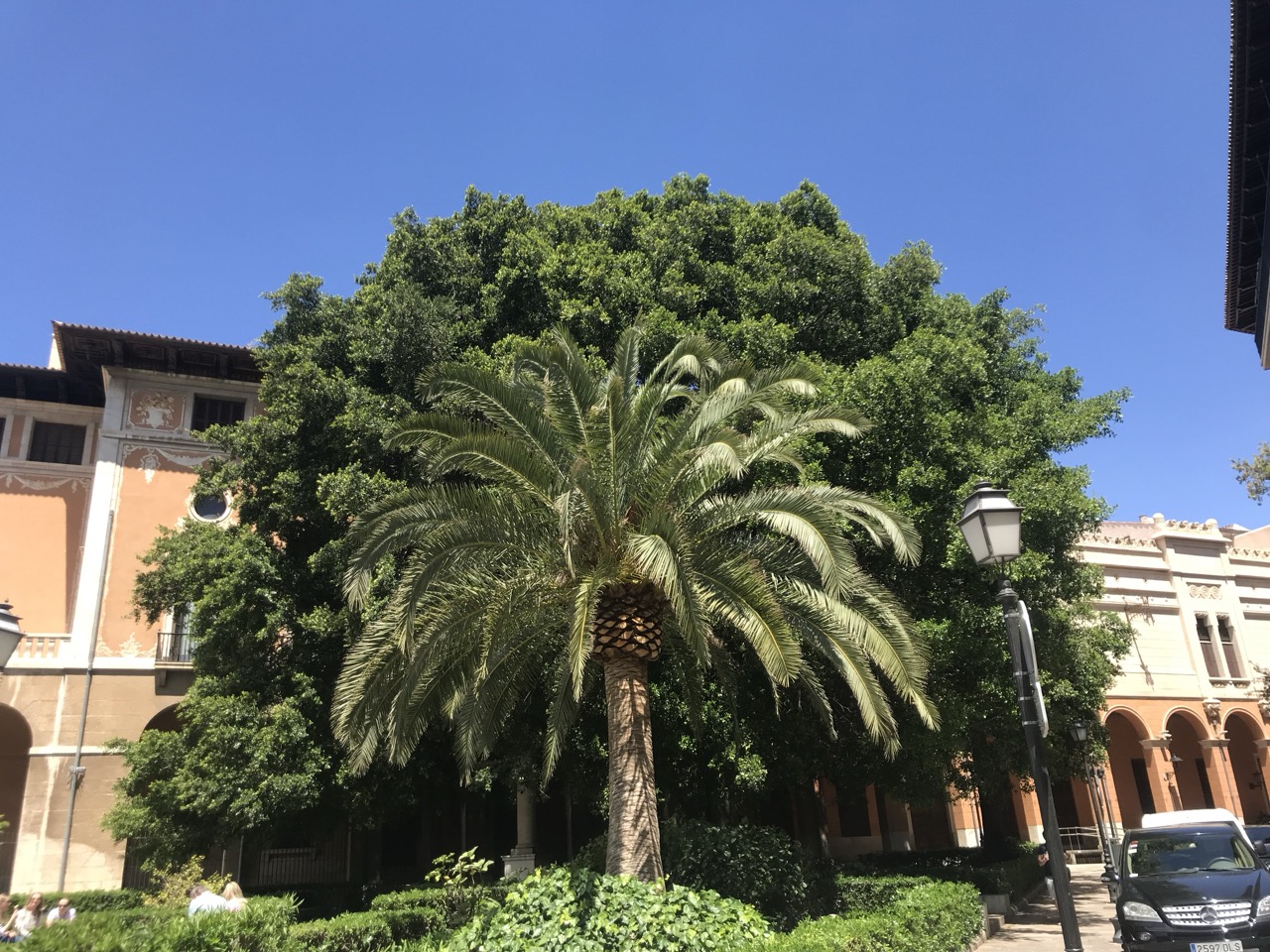 Best Cycling Tours in Mallorca