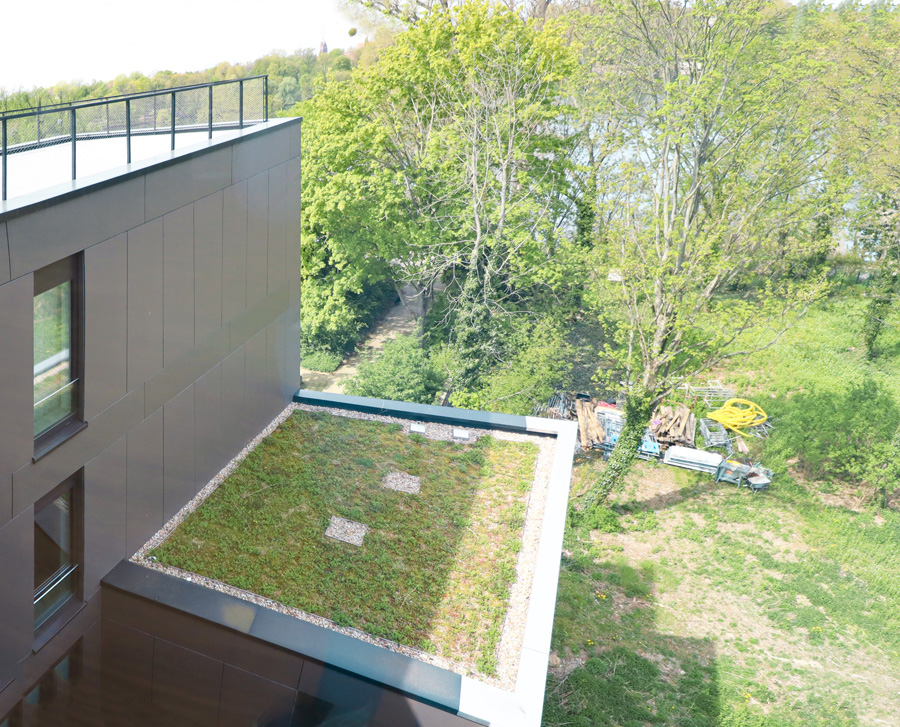 Blick von oben auf das begrünte Flachdach (Gründach) des Gebäudes mit anthrazitfarbener Fassade, dahinter Bäume und Gartenfläche.