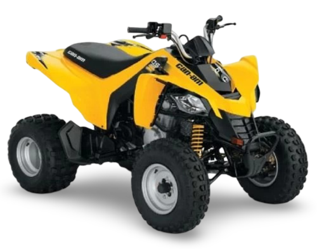 Can-Am DS 250 2008-2025