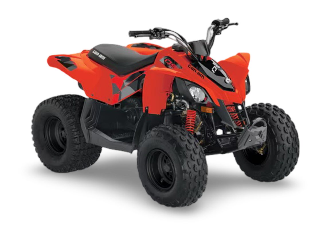 Can-Am DS 70 / 90 2008-2025