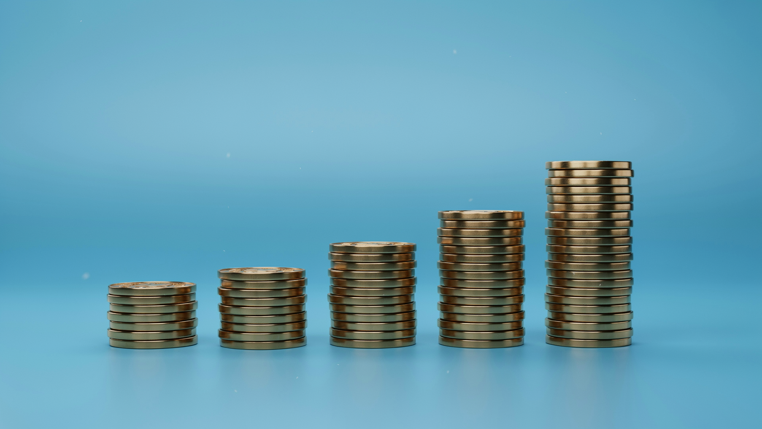 external audit cost