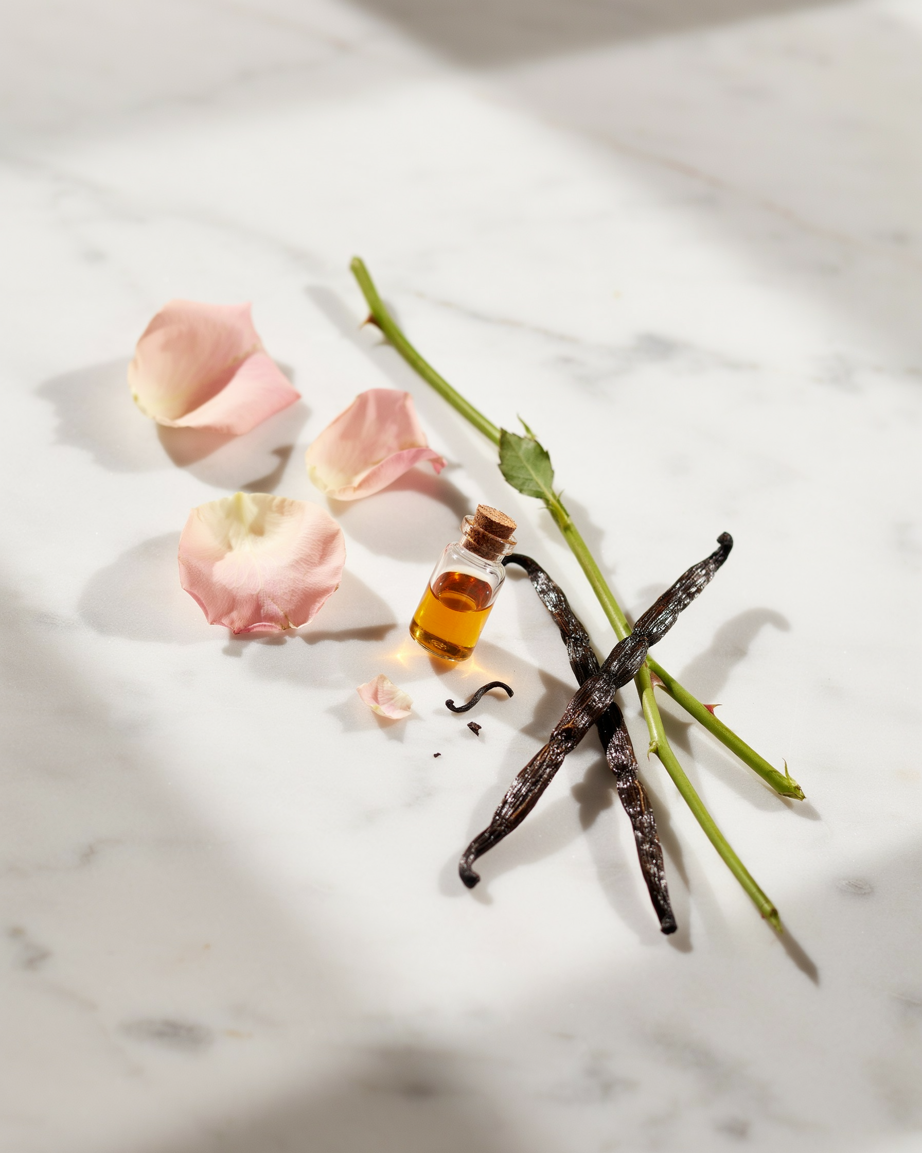 What Makes Dior Fragrances Distinct