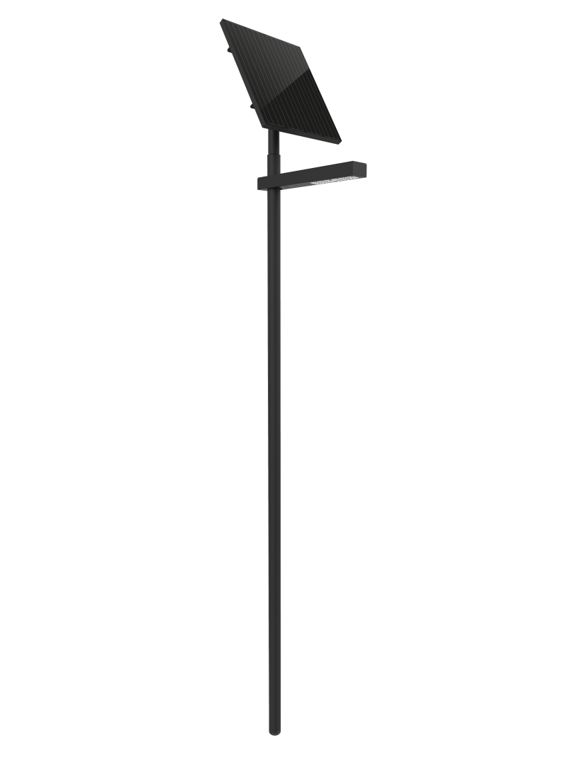 protos100_photinus
