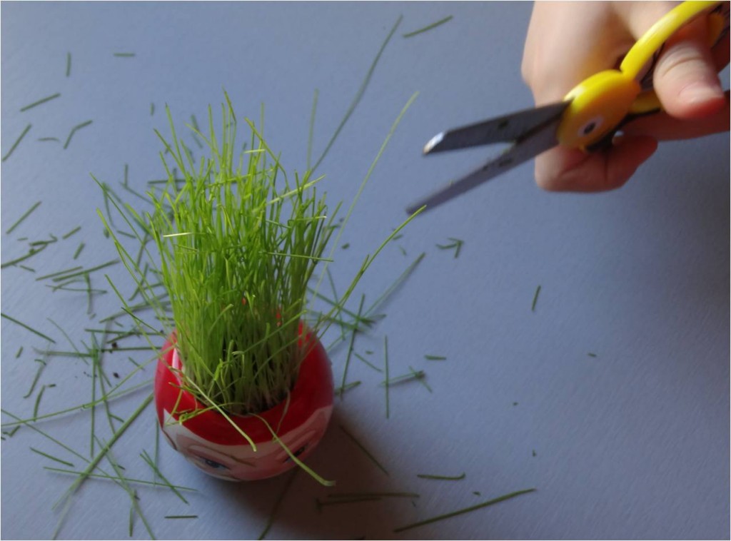 bonhomme gazon coupe de cheveux