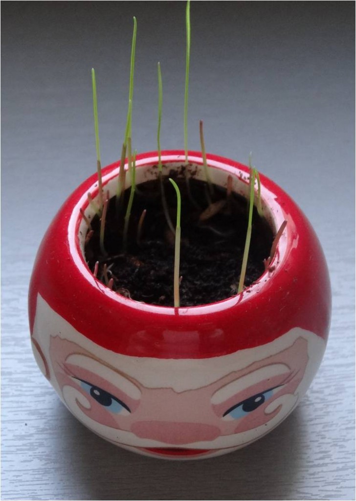 bonhomme gazon pere noel