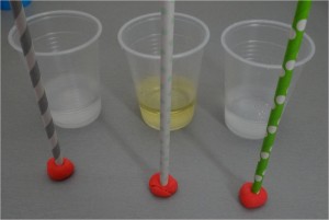 experience hydrometre