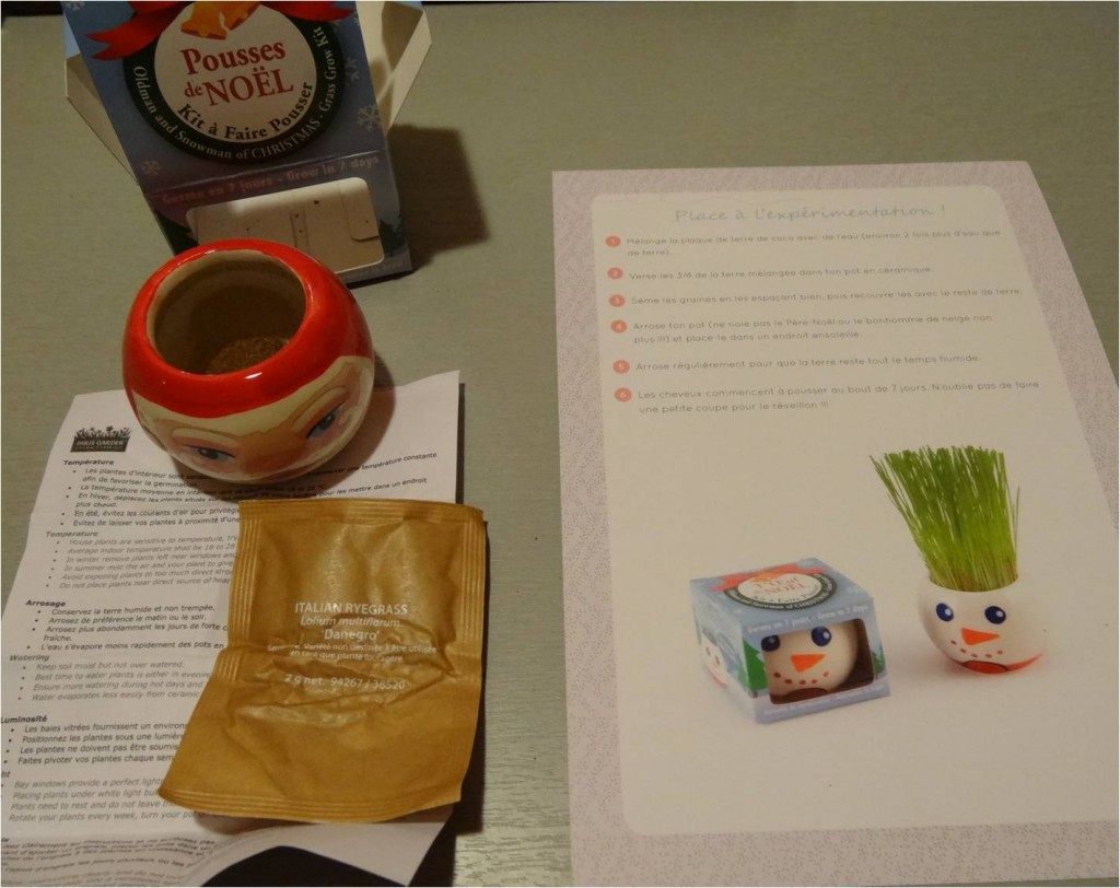 kit a faire pousser de noel
